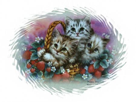 la personne dans le miroir...